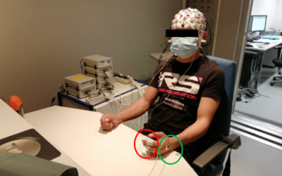 Pilot study investigates 5G exposure-related changes in the autonomic nervous system
